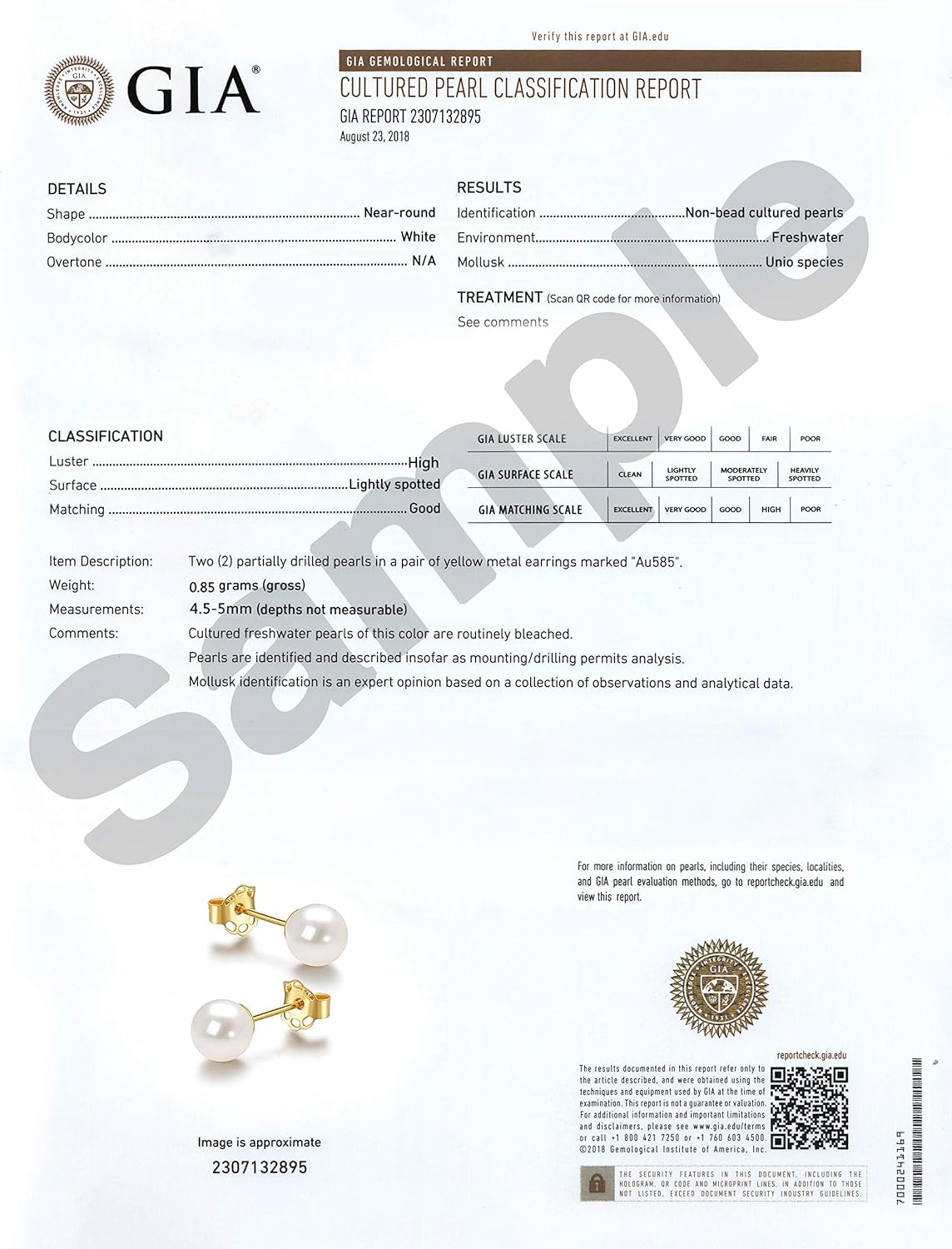 14K Gold AAA+ Handpicked round Freshwater Cultured White Pearl Stud Earrings for Women Girls