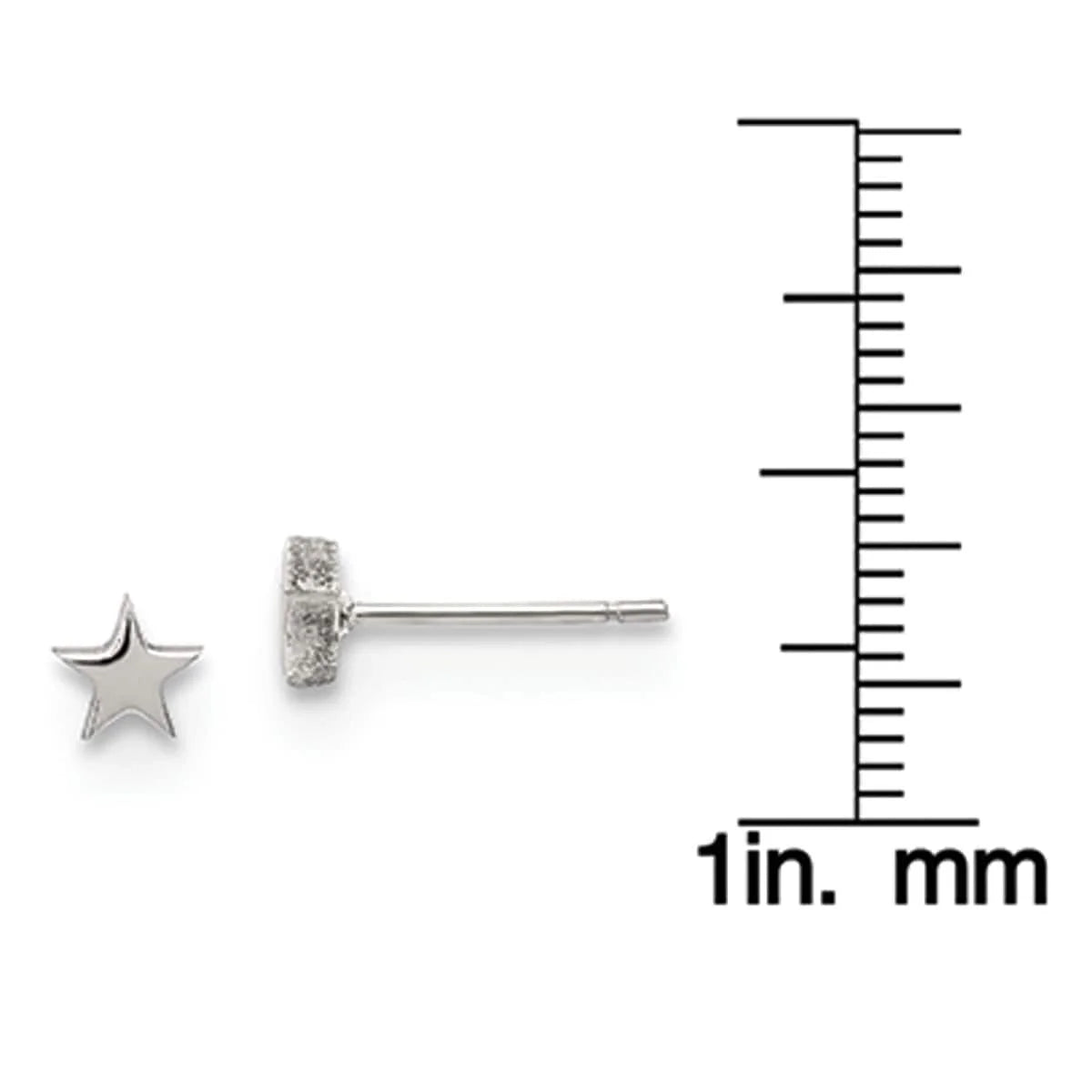 Stainless Steel Polished Star Post Earrings
