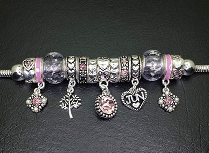 Multi-Color, Birthstone Charm Beads Bracelet, Silvertone