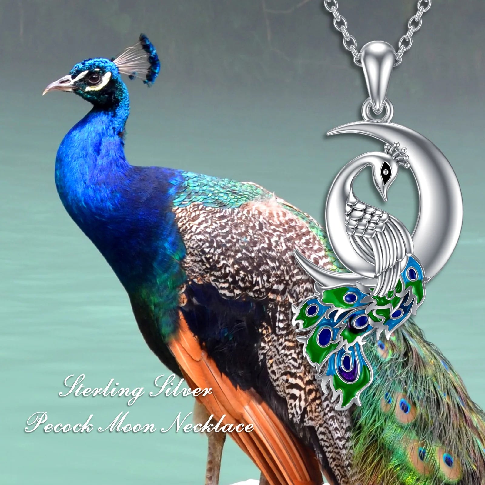 Peacock Moon Crystal Necklace 925 Sterling Silver Crescent Half Moon Pendant Peafowl Lover Anniversary Jewelry Gifts for Women