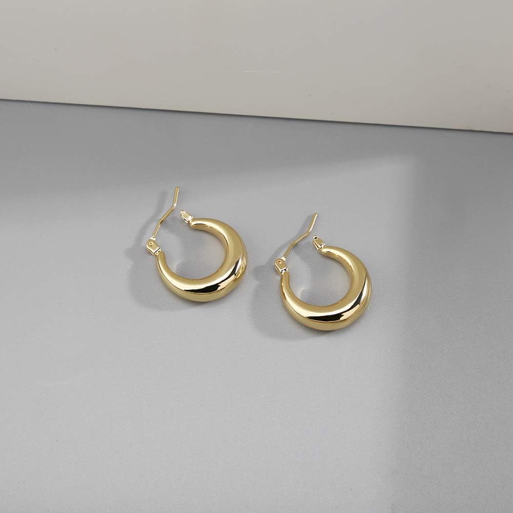 Chunky Gold Hoop Earrings for Women Cute Fashion Hypoallergenic Earrings Minimalist Jewelry Gift