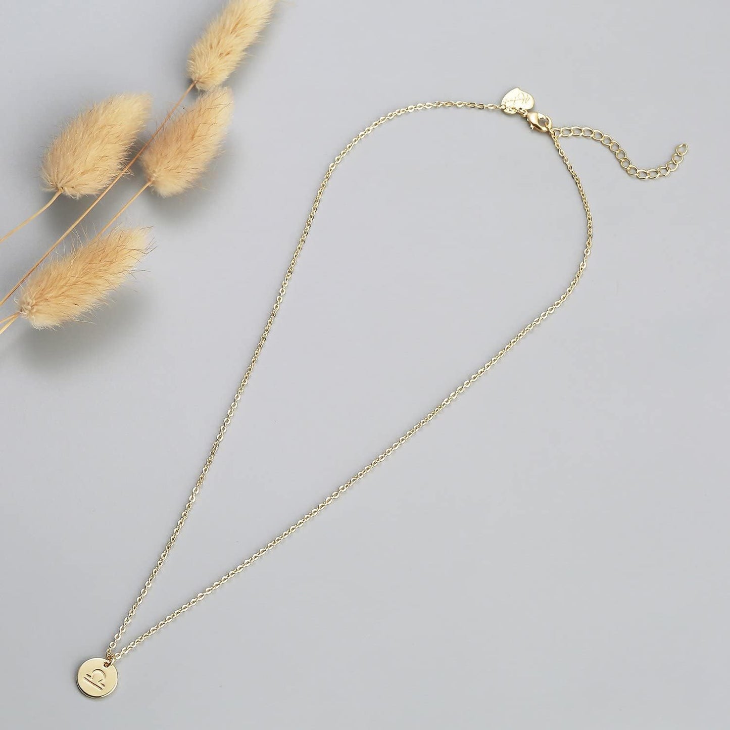 Constellation Necklace Pendant 14K Gold-Plated Hammered round Disc Engraved Zodiac Sign Pendant 17.5’’ Adjustable Dainty Necklace
