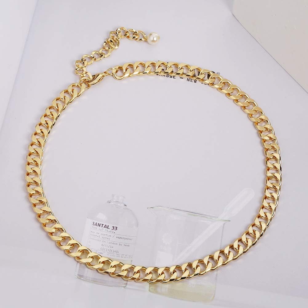 Gold Chain Necklace for Women Snake Chain Herringbone Necklace Gold Choker Necklaces Fashion Necklaces Gift