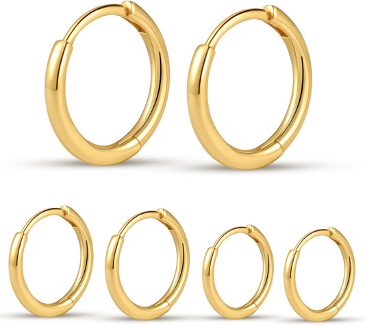 Small Hoop Earrings for Women Tiny Cartilage Hoop Earrings for Men Helix Daith Tragus Ear Hugging Hoop Earrings Sleeper Hypoallergenic Earrings