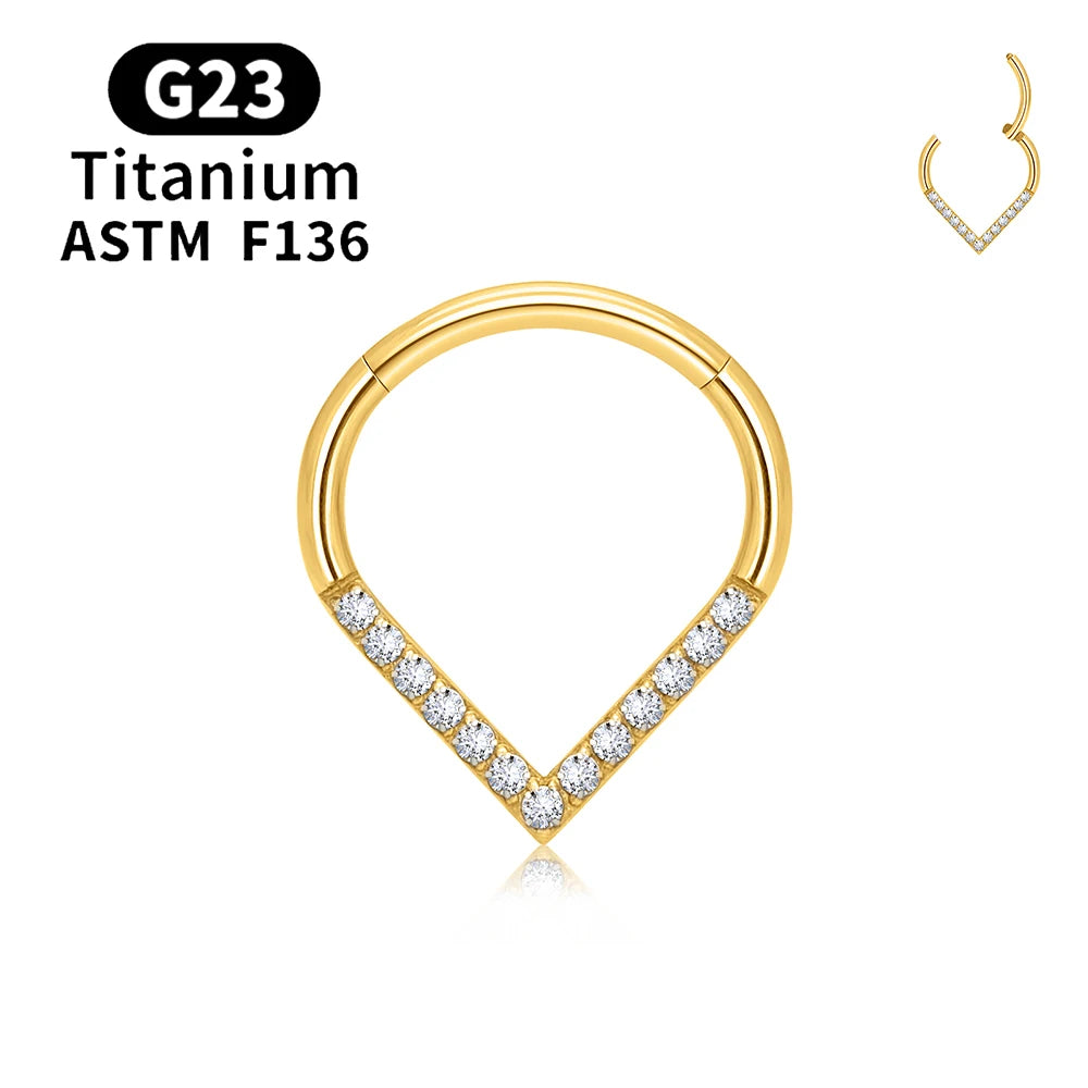 G23 Titanium round Hoop D Shape Nose Ring Daith Heart Earring 16G CZ Hinged Segment Ear Tragus Cartilage Helix Piercing Jewelry