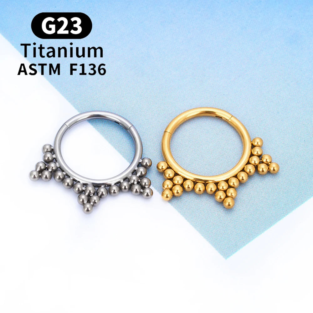 G23 Titanium round Hoop D Shape Nose Ring Daith Heart Earring 16G CZ Hinged Segment Ear Tragus Cartilage Helix Piercing Jewelry