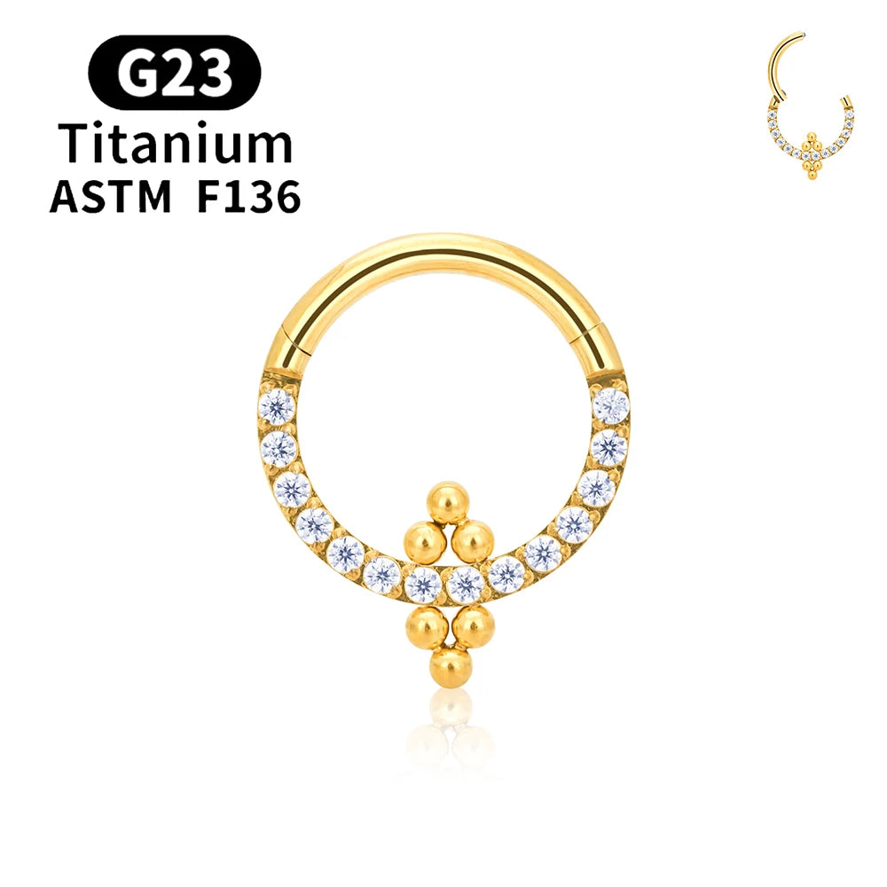 G23 Titanium round Hoop D Shape Nose Ring Daith Heart Earring 16G CZ Hinged Segment Ear Tragus Cartilage Helix Piercing Jewelry