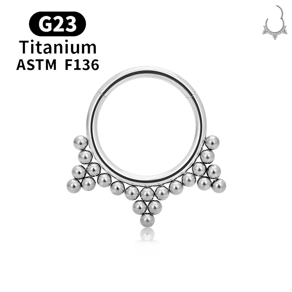 G23 Titanium round Hoop D Shape Nose Ring Daith Heart Earring 16G CZ Hinged Segment Ear Tragus Cartilage Helix Piercing Jewelry