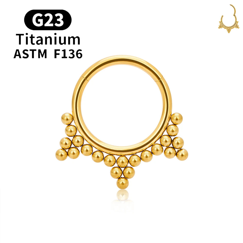 G23 Titanium round Hoop D Shape Nose Ring Daith Heart Earring 16G CZ Hinged Segment Ear Tragus Cartilage Helix Piercing Jewelry