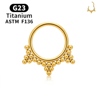 G23 Titanium round Hoop D Shape Nose Ring Daith Heart Earring 16G CZ Hinged Segment Ear Tragus Cartilage Helix Piercing Jewelry
