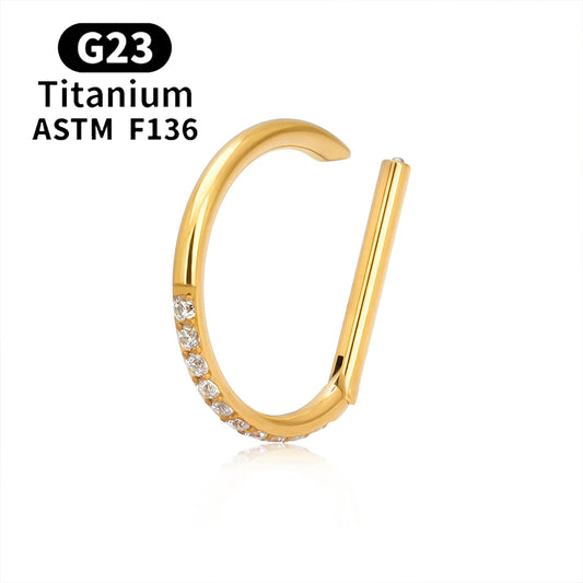 G23 Titanium round Hoop D Shape Nose Ring Daith Heart Earring 16G CZ Hinged Segment Ear Tragus Cartilage Helix Piercing Jewelry